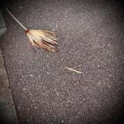 ヒメ日記 2025/11/01 23:04 投稿 浅見怜 五十路マダム 新潟店(カサブランカグループ)