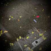 ヒメ日記 2025/11/01 23:32 投稿 浅見怜 五十路マダム 新潟店(カサブランカグループ)