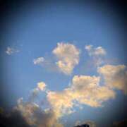 ヒメ日記 2025/11/08 00:30 投稿 浅見怜 五十路マダム 新潟店(カサブランカグループ)