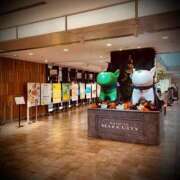 ヒメ日記 2025/11/11 00:08 投稿 浅見怜 五十路マダム 新潟店(カサブランカグループ)