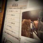 ヒメ日記 2025/11/11 15:32 投稿 浅見怜 五十路マダム 新潟店(カサブランカグループ)