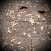 ヒメ日記 2025/11/16 12:04 投稿 浅見怜 五十路マダム 新潟店(カサブランカグループ)