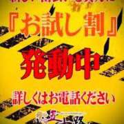ヒメ日記 2025/11/18 09:44 投稿 浅見怜 五十路マダム 新潟店(カサブランカグループ)