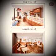 ヒメ日記 2025/11/22 04:00 投稿 浅見怜 五十路マダム 新潟店(カサブランカグループ)