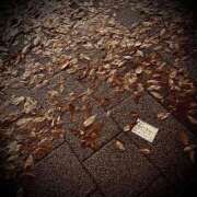 ヒメ日記 2025/11/26 23:52 投稿 浅見怜 五十路マダム 新潟店(カサブランカグループ)