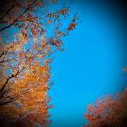 ヒメ日記 2025/11/30 21:36 投稿 浅見怜 五十路マダム 新潟店(カサブランカグループ)