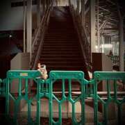 ヒメ日記 2025/11/30 22:32 投稿 浅見怜 五十路マダム 新潟店(カサブランカグループ)