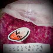 ヒメ日記 2025/11/30 23:34 投稿 浅見怜 五十路マダム 新潟店(カサブランカグループ)