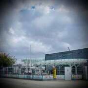 ヒメ日記 2025/12/01 00:32 投稿 浅見怜 五十路マダム 新潟店(カサブランカグループ)