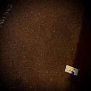 ヒメ日記 2025/12/02 00:04 投稿 浅見怜 五十路マダム 新潟店(カサブランカグループ)