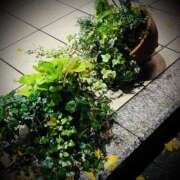 ヒメ日記 2025/12/03 23:02 投稿 浅見怜 五十路マダム 新潟店(カサブランカグループ)