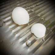 ヒメ日記 2025/12/08 23:46 投稿 浅見怜 五十路マダム 新潟店(カサブランカグループ)