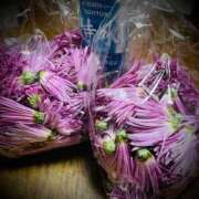 ヒメ日記 2025/12/11 23:56 投稿 浅見怜 五十路マダム 新潟店(カサブランカグループ)