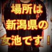 ヒメ日記 2025/12/12 06:20 投稿 浅見怜 五十路マダム 新潟店(カサブランカグループ)