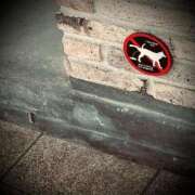 ヒメ日記 2025/12/13 00:40 投稿 浅見怜 五十路マダム 新潟店(カサブランカグループ)