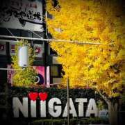 ヒメ日記 2025/12/15 12:34 投稿 浅見怜 五十路マダム 新潟店(カサブランカグループ)