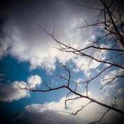 ヒメ日記 2025/12/16 03:30 投稿 浅見怜 五十路マダム 新潟店(カサブランカグループ)