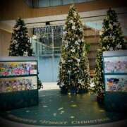 ヒメ日記 2025/12/16 06:20 投稿 浅見怜 五十路マダム 新潟店(カサブランカグループ)