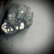 ヒメ日記 2025/12/22 10:22 投稿 浅見怜 五十路マダム 新潟店(カサブランカグループ)