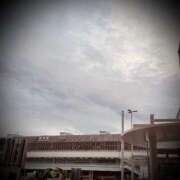 ヒメ日記 2025/12/24 17:46 投稿 浅見怜 五十路マダム 新潟店(カサブランカグループ)