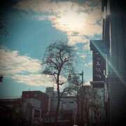 ヒメ日記 2025/12/30 23:56 投稿 浅見怜 五十路マダム 新潟店(カサブランカグループ)