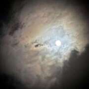 ヒメ日記 2026/01/05 00:30 投稿 浅見怜 五十路マダム 新潟店(カサブランカグループ)