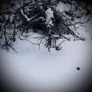 ヒメ日記 2026/01/05 09:32 投稿 浅見怜 五十路マダム 新潟店(カサブランカグループ)