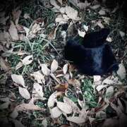 ヒメ日記 2026/01/07 19:02 投稿 浅見怜 五十路マダム 新潟店(カサブランカグループ)