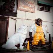 ヒメ日記 2026/01/08 23:42 投稿 浅見怜 五十路マダム 新潟店(カサブランカグループ)