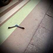 ヒメ日記 2026/01/08 23:52 投稿 浅見怜 五十路マダム 新潟店(カサブランカグループ)