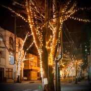 ヒメ日記 2026/01/22 02:00 投稿 浅見怜 五十路マダム 新潟店(カサブランカグループ)