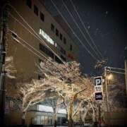 ヒメ日記 2026/01/23 23:54 投稿 浅見怜 五十路マダム 新潟店(カサブランカグループ)