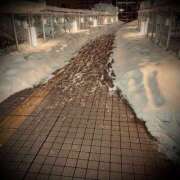 ヒメ日記 2026/01/24 23:46 投稿 浅見怜 五十路マダム 新潟店(カサブランカグループ)