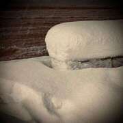 ヒメ日記 2026/01/25 06:20 投稿 浅見怜 五十路マダム 新潟店(カサブランカグループ)