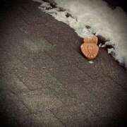 ヒメ日記 2026/01/28 00:16 投稿 浅見怜 五十路マダム 新潟店(カサブランカグループ)