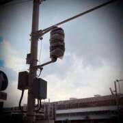 ヒメ日記 2026/01/29 01:04 投稿 浅見怜 五十路マダム 新潟店(カサブランカグループ)