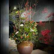 ヒメ日記 2026/01/29 23:34 投稿 浅見怜 五十路マダム 新潟店(カサブランカグループ)