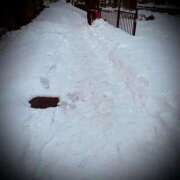 ヒメ日記 2026/01/29 23:48 投稿 浅見怜 五十路マダム 新潟店(カサブランカグループ)