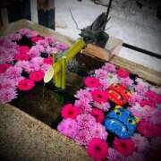 ヒメ日記 2026/02/03 02:46 投稿 浅見怜 五十路マダム 新潟店(カサブランカグループ)