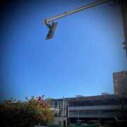 ヒメ日記 2026/02/19 00:46 投稿 浅見怜 五十路マダム 新潟店(カサブランカグループ)