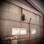 ヒメ日記 2026/02/23 02:06 投稿 浅見怜 五十路マダム 新潟店(カサブランカグループ)