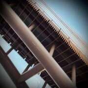 ヒメ日記 2026/02/24 23:54 投稿 浅見怜 五十路マダム 新潟店(カサブランカグループ)