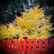 ヒメ日記 2026/02/27 03:00 投稿 浅見怜 五十路マダム 新潟店(カサブランカグループ)