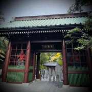 ヒメ日記 2026/03/02 02:16 投稿 浅見怜 五十路マダム 新潟店(カサブランカグループ)