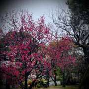 ヒメ日記 2026/03/04 22:32 投稿 浅見怜 五十路マダム 新潟店(カサブランカグループ)