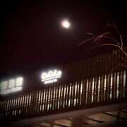 ヒメ日記 2026/03/04 23:54 投稿 浅見怜 五十路マダム 新潟店(カサブランカグループ)