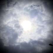 ヒメ日記 2026/03/05 15:34 投稿 浅見怜 五十路マダム 新潟店(カサブランカグループ)