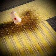 ヒメ日記 2026/03/14 23:06 投稿 浅見怜 五十路マダム 新潟店(カサブランカグループ)