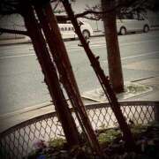 ヒメ日記 2026/03/27 03:30 投稿 浅見怜 五十路マダム 新潟店(カサブランカグループ)