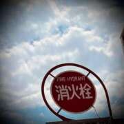 ヒメ日記 2026/03/28 02:30 投稿 浅見怜 五十路マダム 新潟店(カサブランカグループ)